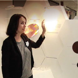 Gestion de site réceptif